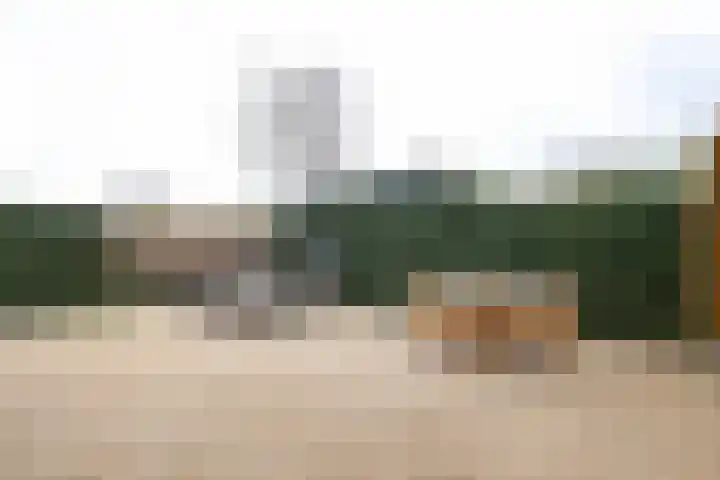 Ligusterlaan 17 Oostvoorne thumbnail 60