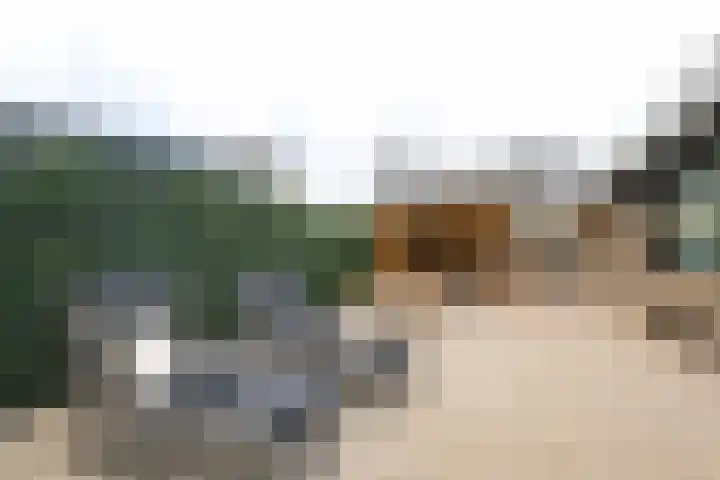Ligusterlaan 17 Oostvoorne thumbnail 61