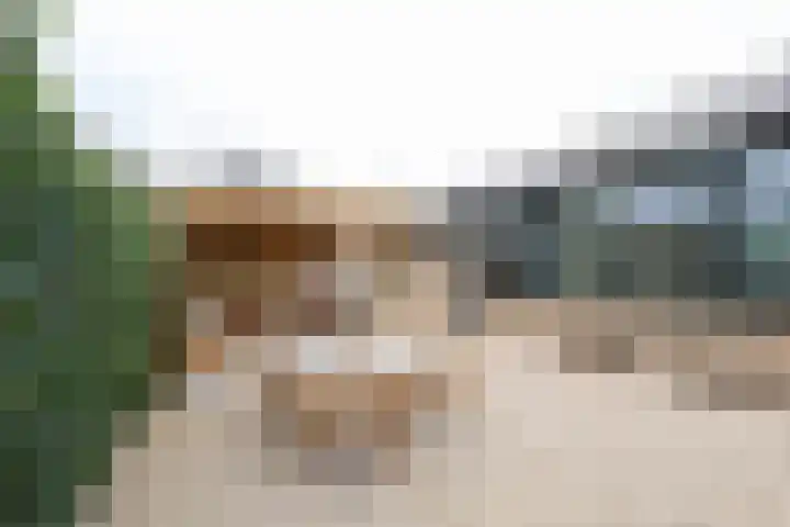 Ligusterlaan 17 Oostvoorne thumbnail 62