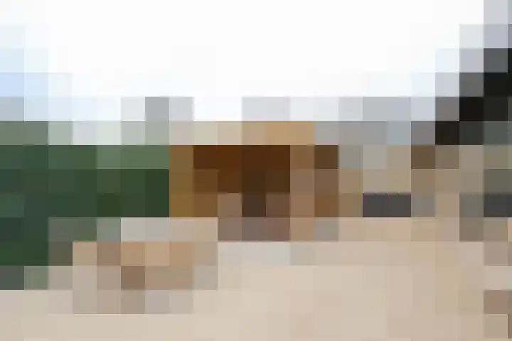 Ligusterlaan 17 Oostvoorne thumbnail 63