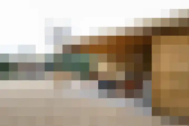 Ligusterlaan 17 Oostvoorne thumbnail 65