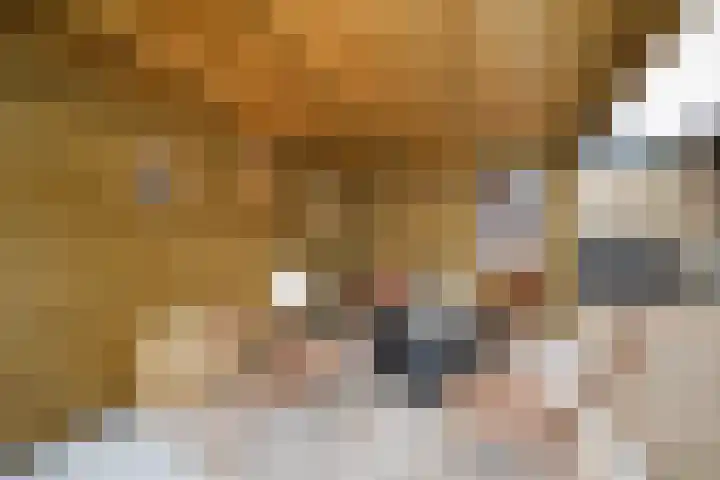 Ligusterlaan 17 Oostvoorne thumbnail 66
