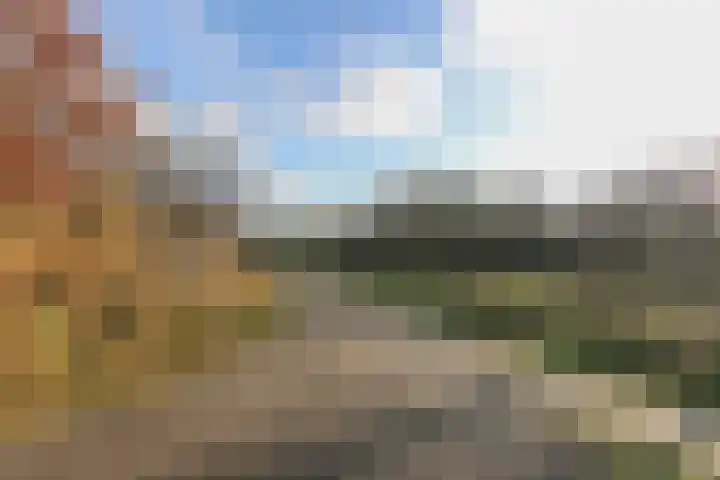 Ligusterlaan 17 Oostvoorne thumbnail 70
