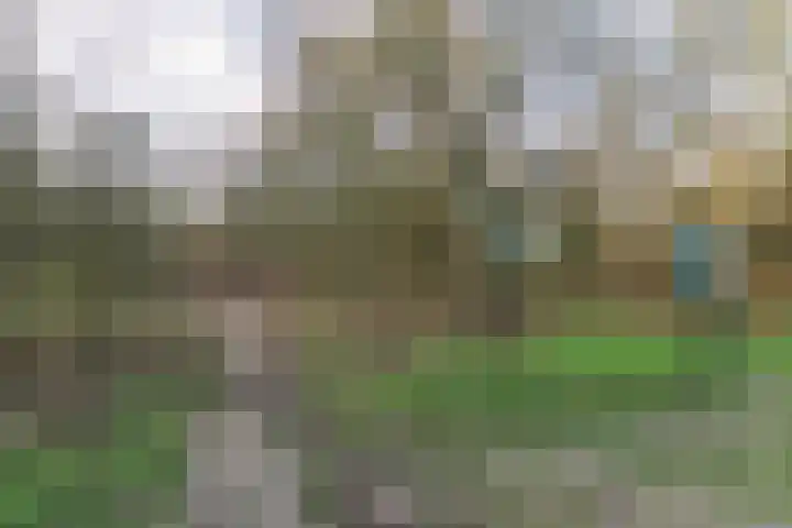 Ligusterlaan 17 Oostvoorne thumbnail 71