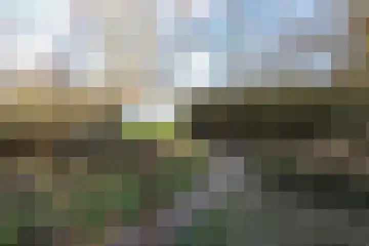 Ligusterlaan 17 Oostvoorne thumbnail 72