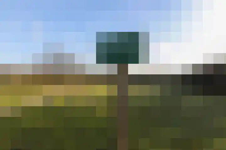 Ligusterlaan 17 Oostvoorne thumbnail 73