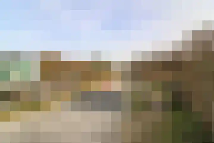 Ligusterlaan 17 Oostvoorne thumbnail 75