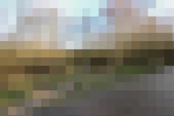 Ligusterlaan 17 Oostvoorne thumbnail 76