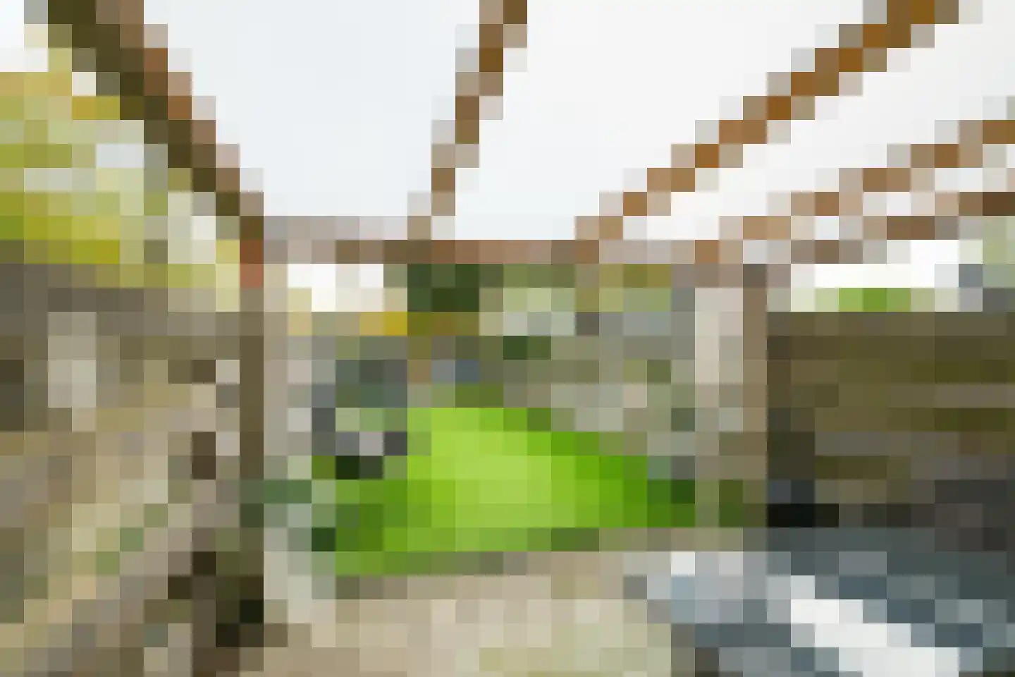 Ligusterlaan 193 Winterswijk thumbnail 32