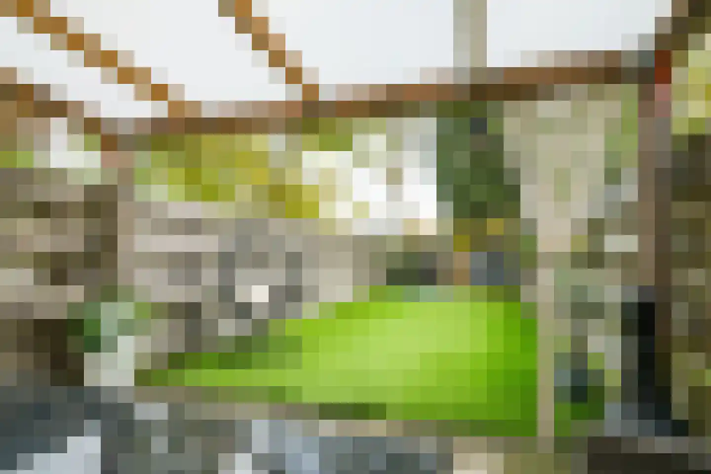 Ligusterlaan 193 Winterswijk thumbnail 33