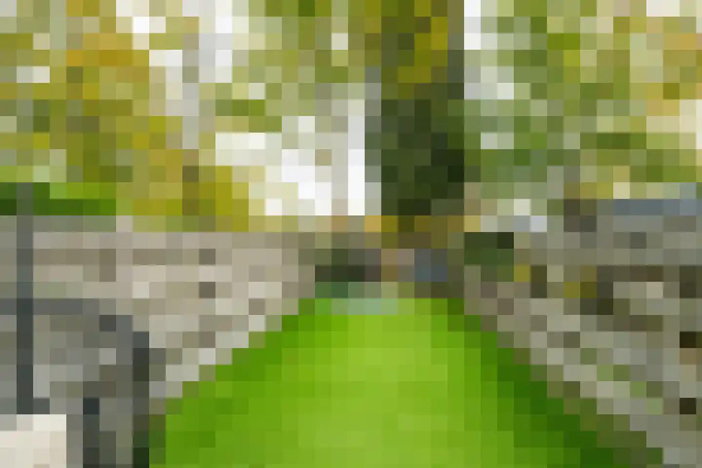 Ligusterlaan 193 Winterswijk thumbnail 34