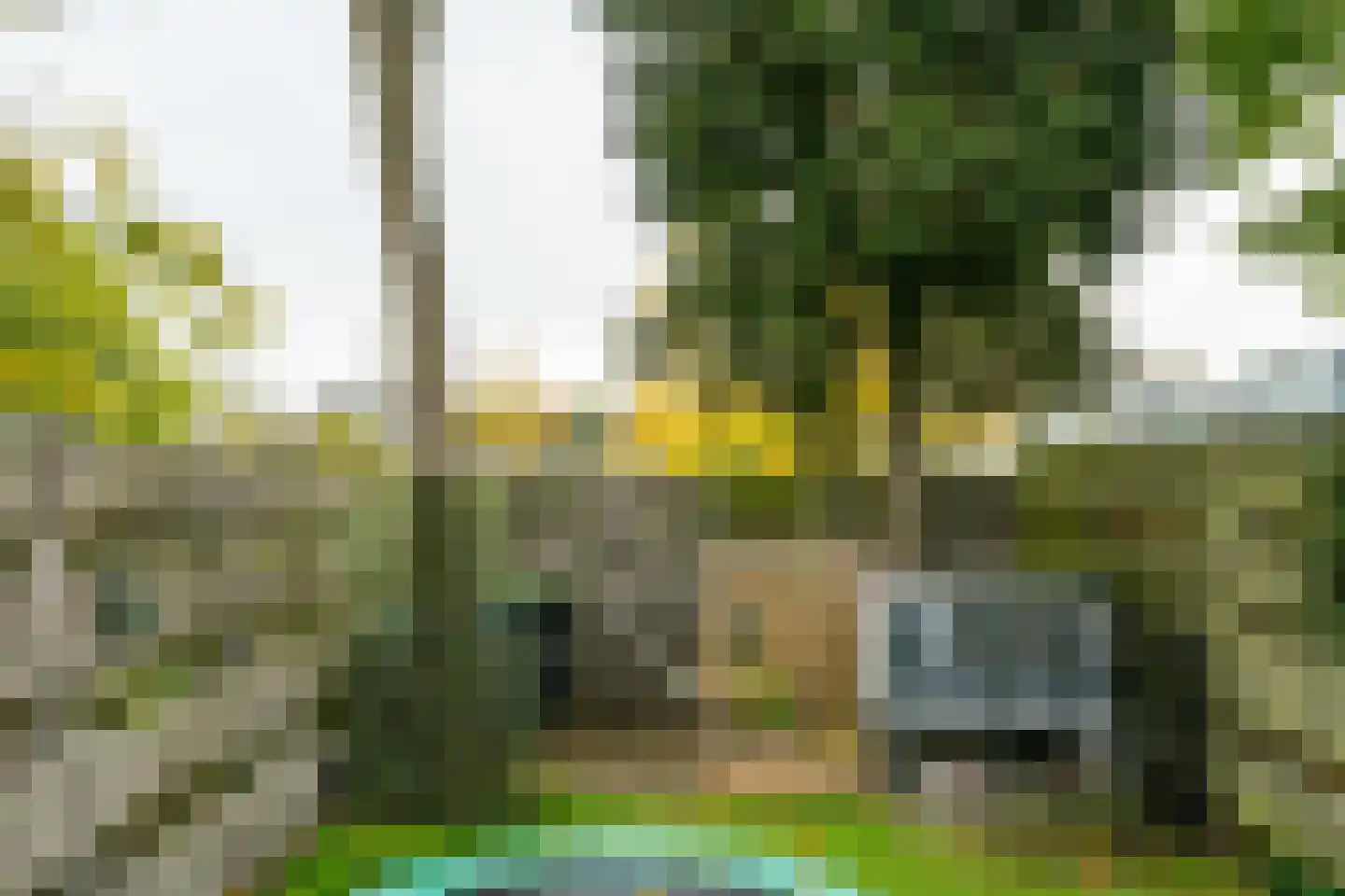 Ligusterlaan 193 Winterswijk thumbnail 35