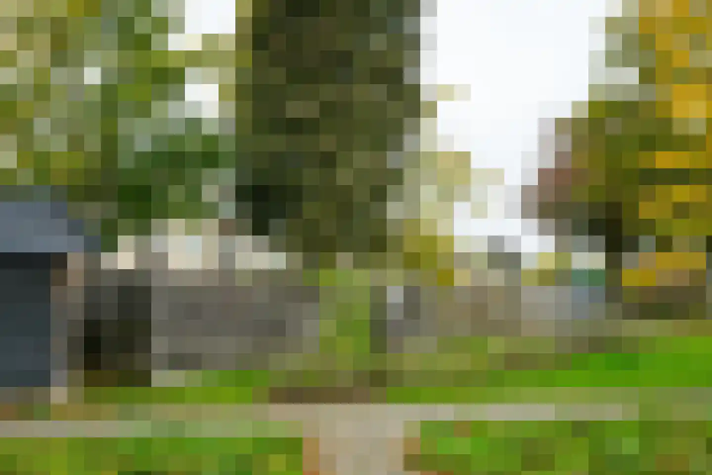 Ligusterlaan 193 Winterswijk thumbnail 36