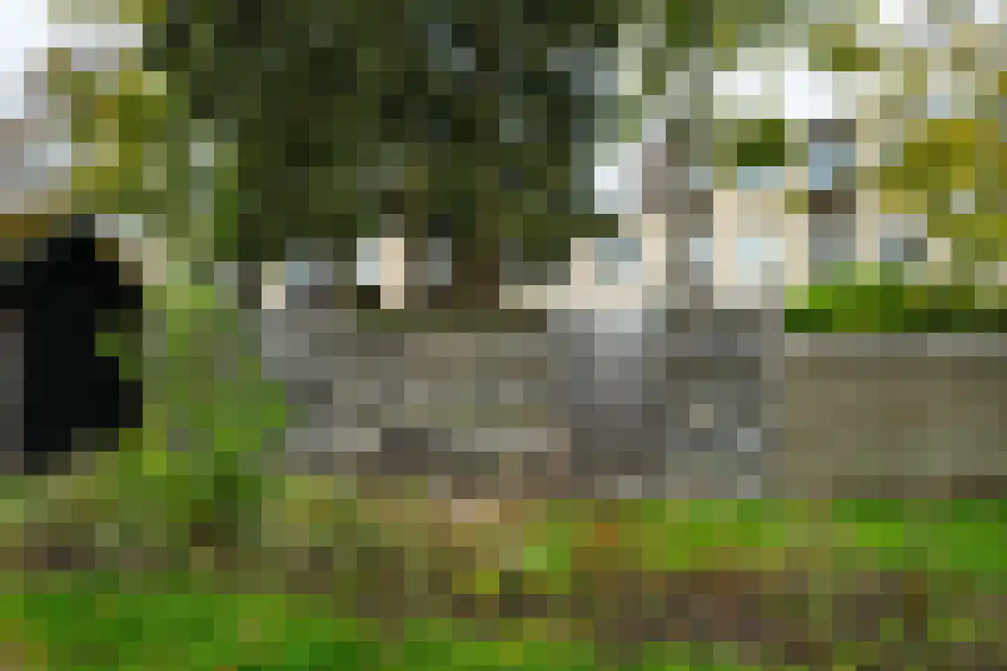 Ligusterlaan 193 Winterswijk thumbnail 37