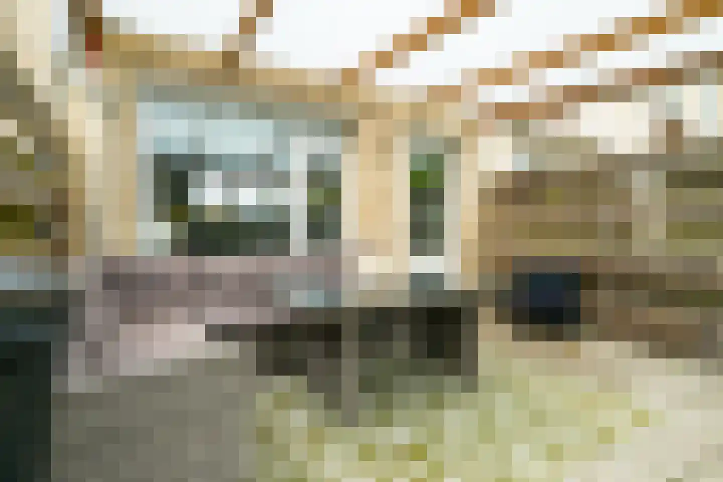 Ligusterlaan 193 Winterswijk thumbnail 39