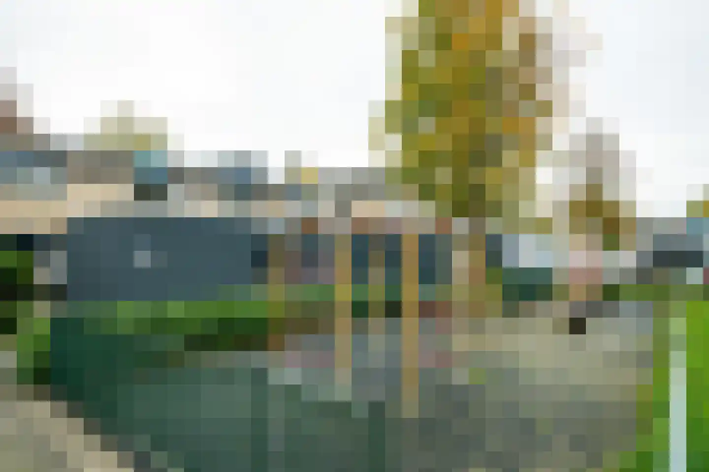 Ligusterlaan 193 Winterswijk thumbnail 44