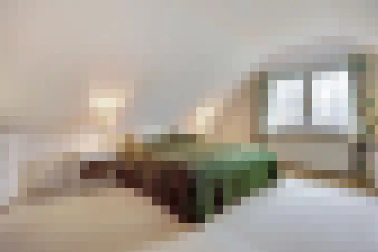 Ligusterlaan 2 Burgh-Haamstede thumbnail 36