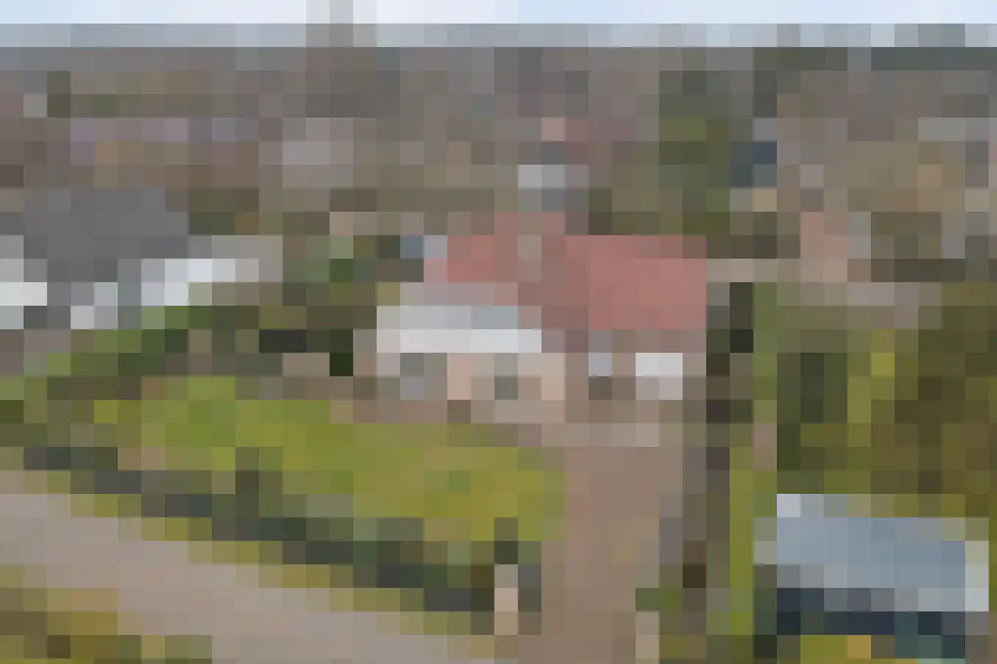 Ligusterlaan 2 Burgh-Haamstede thumbnail 4