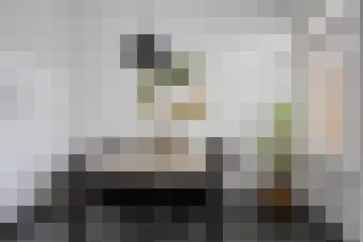 Ligusterlaan 23 Winterswijk thumbnail 12