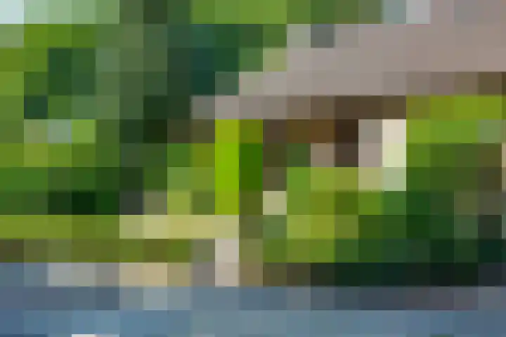 Ligusterlaan 30 Winterswijk foto 2