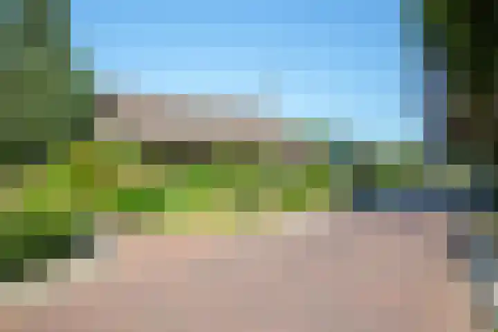 Ligusterlaan 30 Winterswijk thumbnail 53