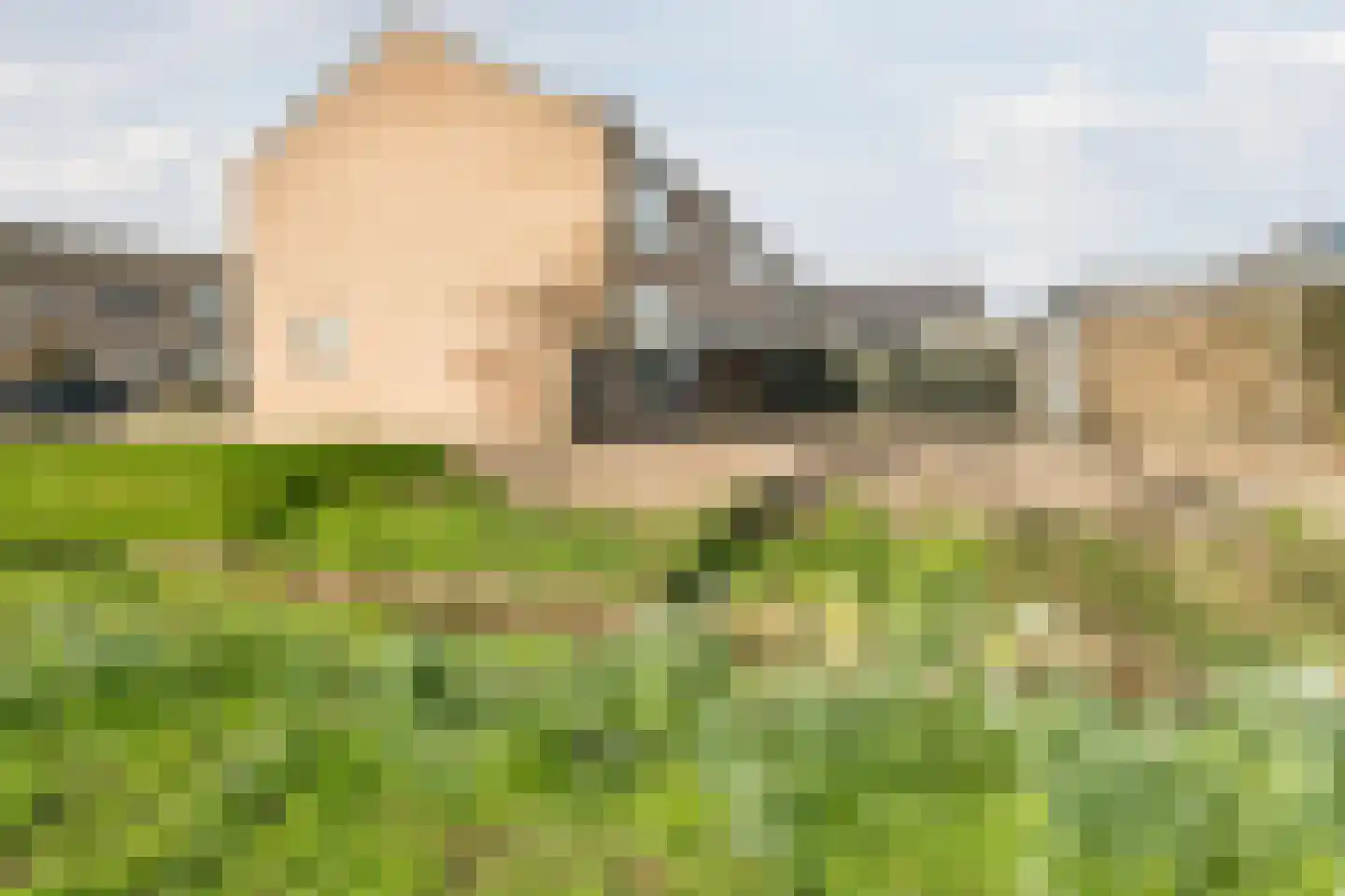 Ligusterlaan 36 Nijkerk thumbnail 34