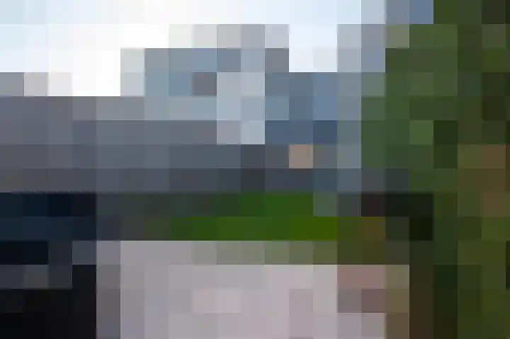 Ligusterlaan 49 Winterswijk