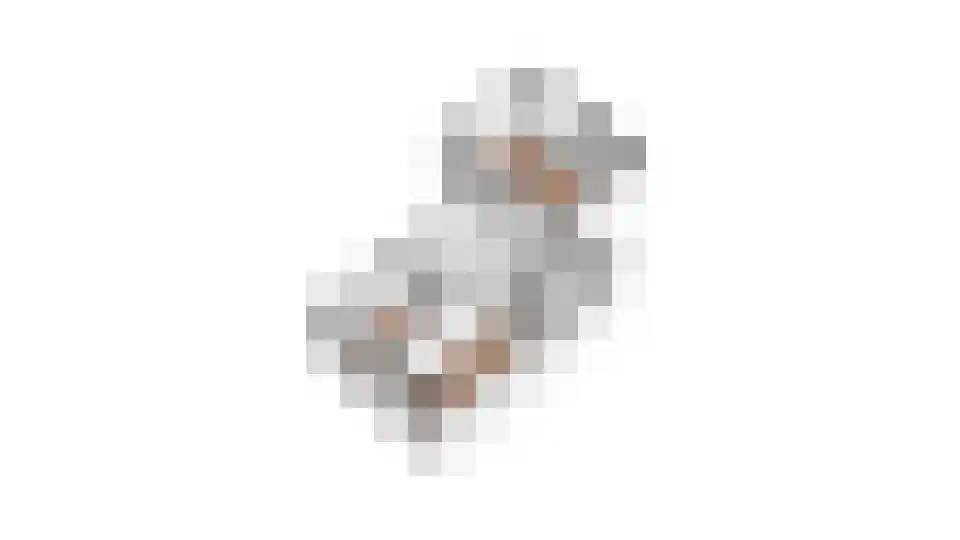 Ligusterlaan 49 Winterswijk thumbnail 36