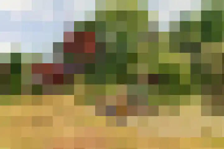 Ligusterlaan 5 Burgh-Haamstede thumbnail 12
