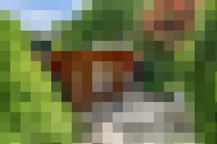Ligusterlaan 5 Burgh-Haamstede thumbnail 13