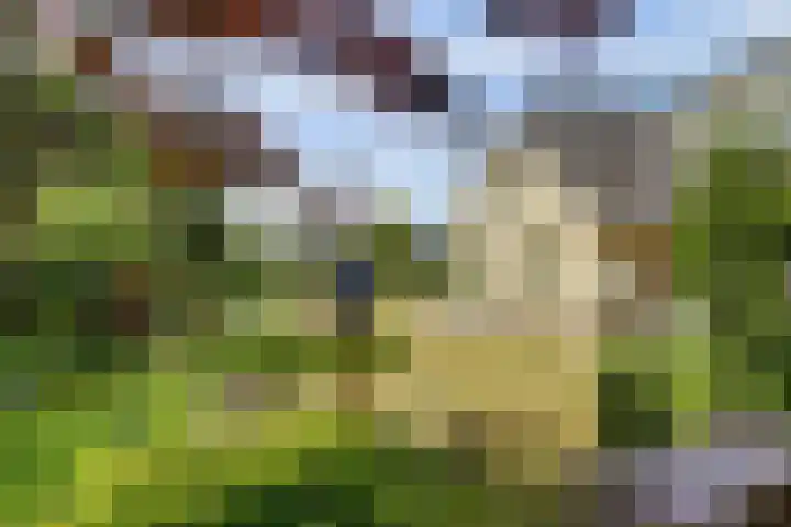 Ligusterlaan 5 Burgh-Haamstede thumbnail 5