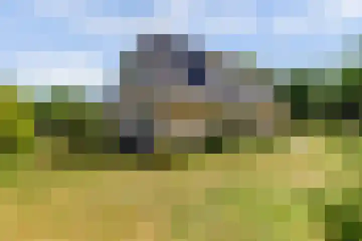 Ligusterlaan 5 Burgh-Haamstede thumbnail 8