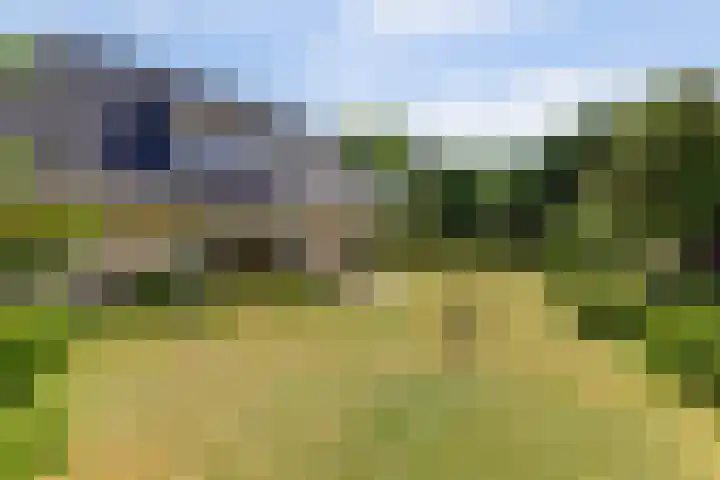 Ligusterlaan 5 Burgh-Haamstede thumbnail 9