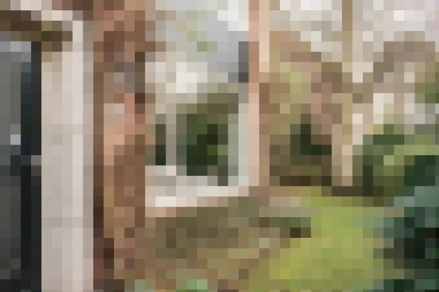 Ligusterlaan 6 Haarlem thumbnail 17