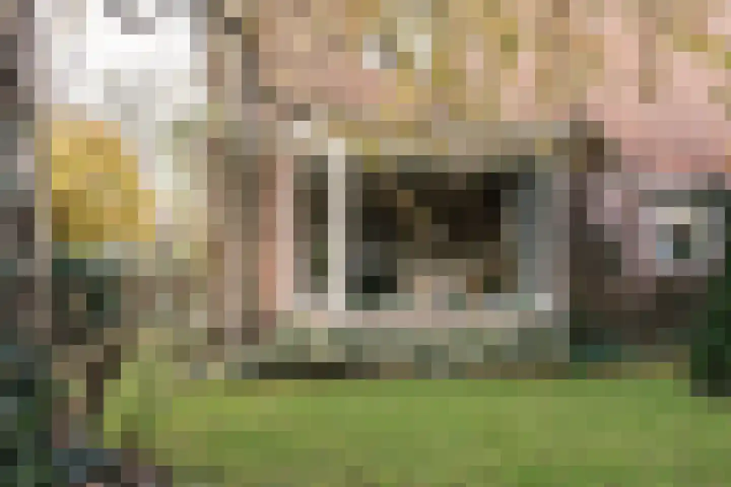 Ligusterlaan 6 Haarlem thumbnail 18