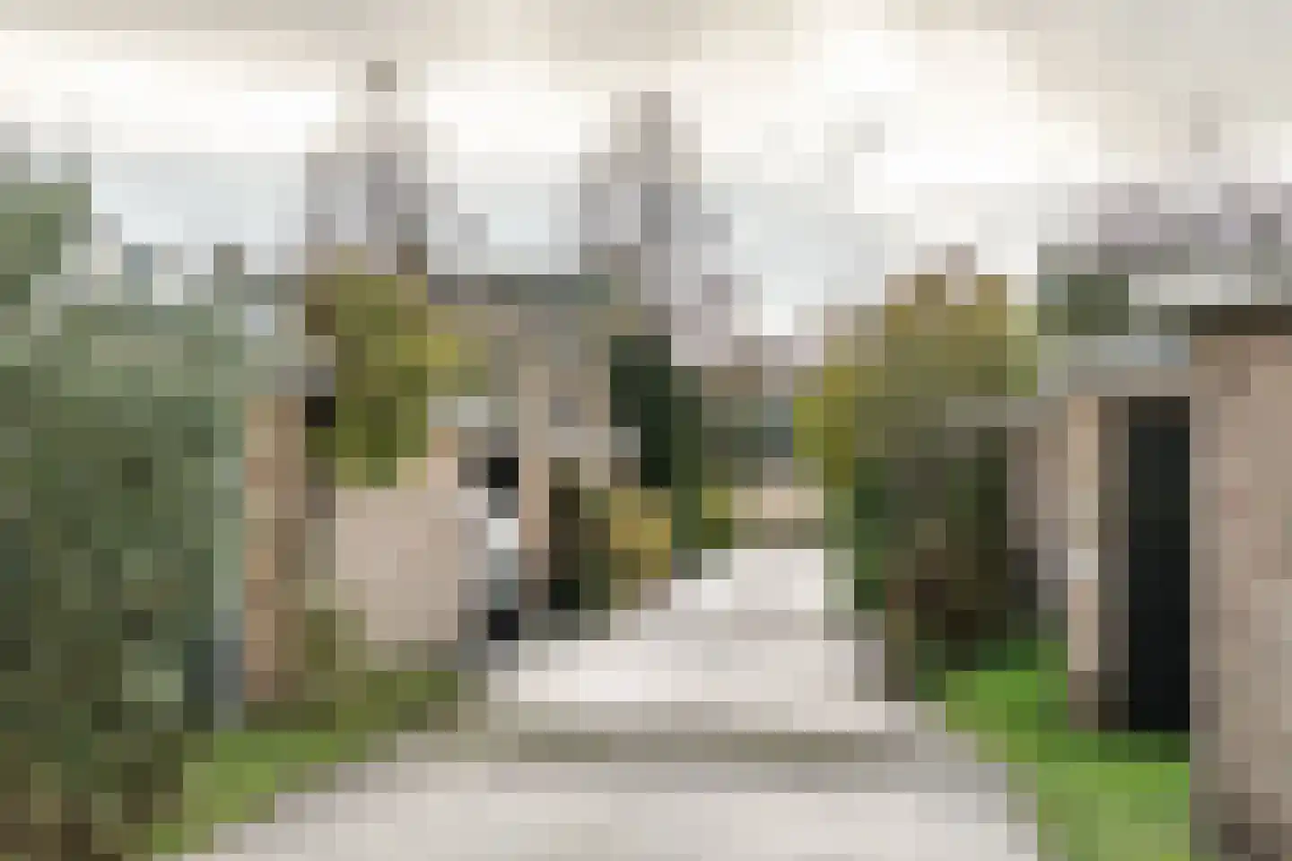 Ligusterlaan 6 Haarlem thumbnail 20