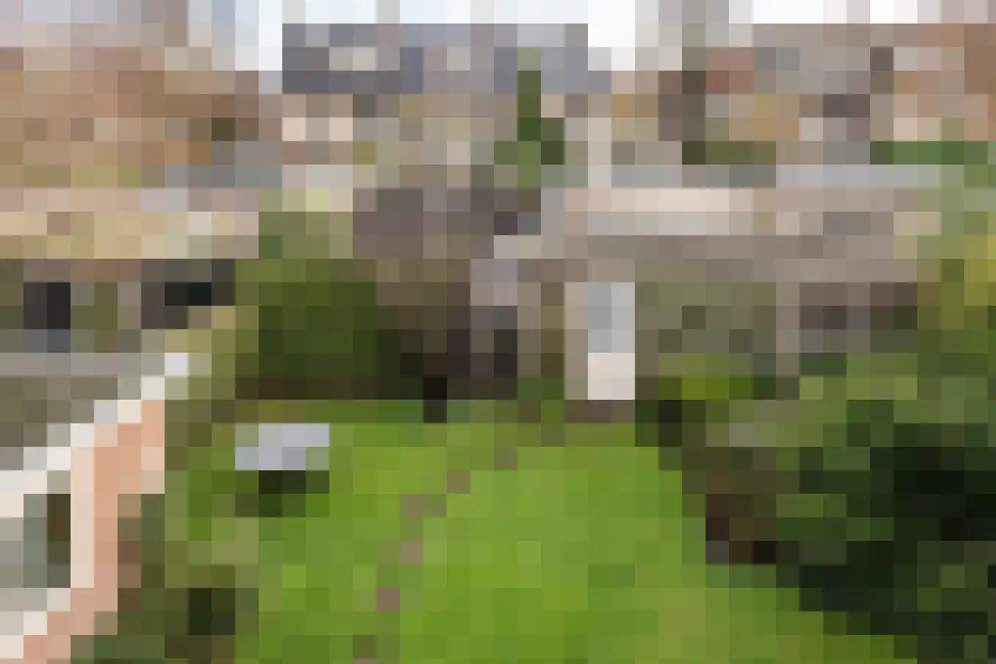 Ligusterlaan 6 Haarlem thumbnail 30