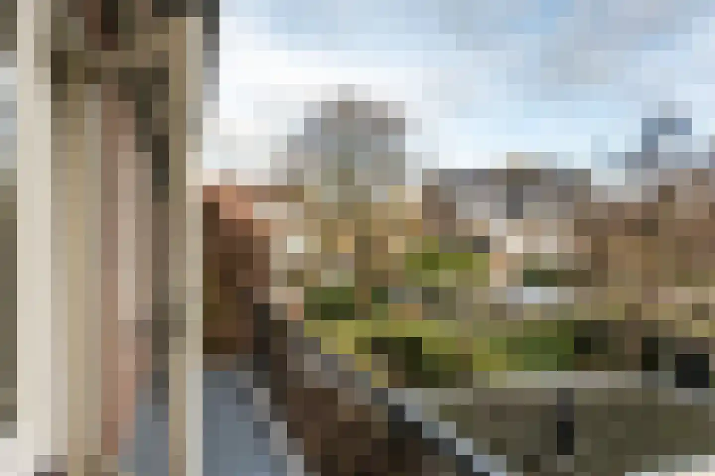 Ligusterlaan 6 Haarlem thumbnail 31