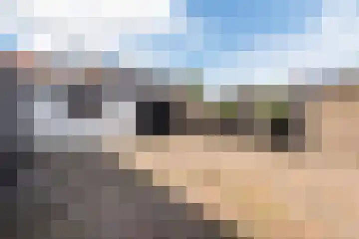 Ligusterlaan 7 Nijkerk thumbnail 35
