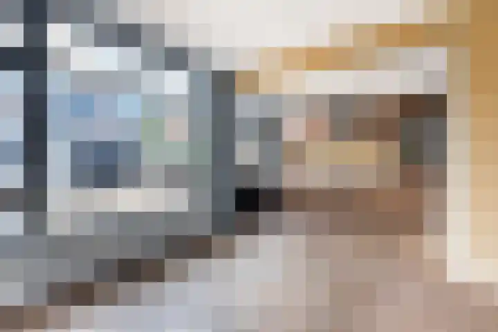 Ligusterlaan 7 Nijkerk thumbnail 7