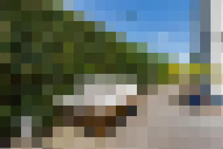 Ligusterlaan 89 Winterswijk thumbnail 37