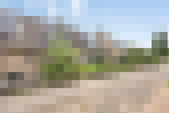 Ligusterpad 40 Venlo thumbnail 22