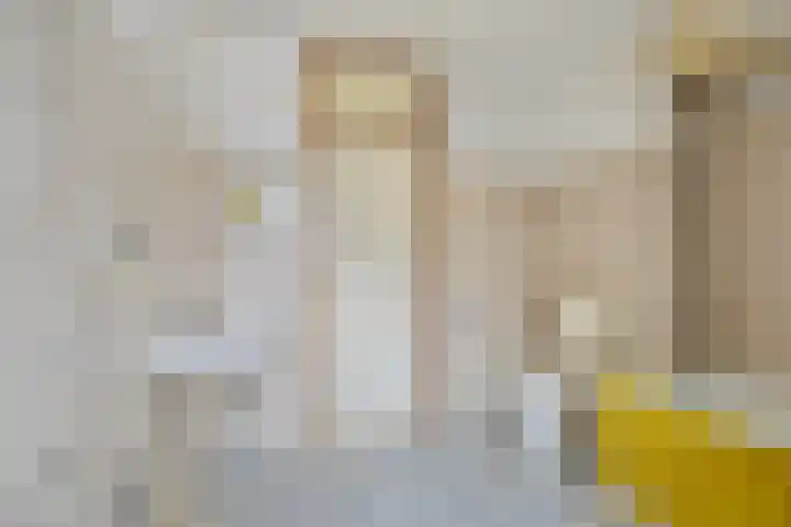 Ligusterpad 40 Venlo thumbnail 4
