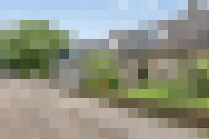 Ligusterpad 40 Venlo thumbnail 7