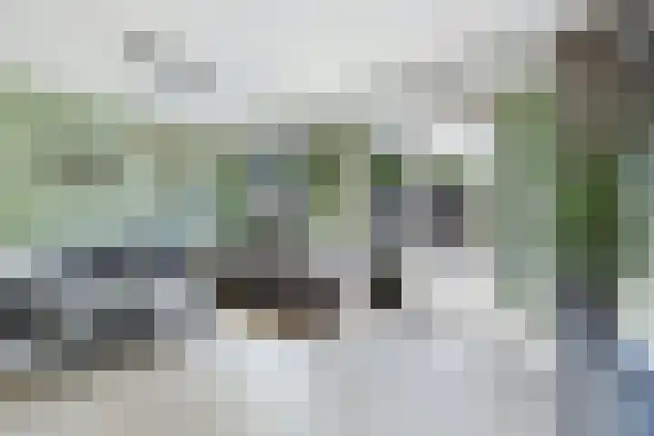Ligusterpark 19 Zoetermeer thumbnail 16