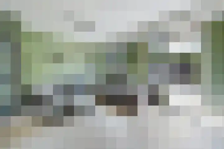 Ligusterpark 19 Zoetermeer thumbnail 17