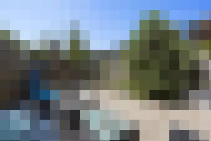 Ligusterpark 19 Zoetermeer thumbnail 26