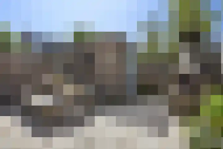 Ligusterpark 19 Zoetermeer thumbnail 28