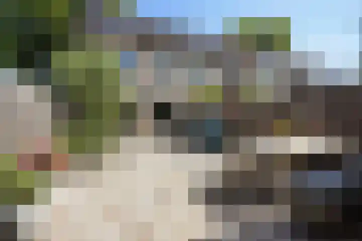 Ligusterpark 19 Zoetermeer thumbnail 29