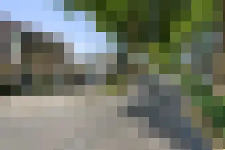 Ligusterpark 19 Zoetermeer thumbnail 7